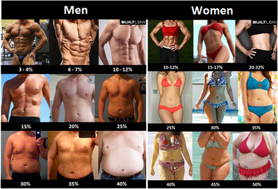 Body Fat Percentage Image Chart